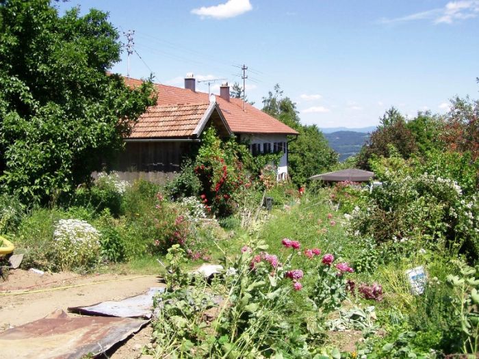 Image has been resized